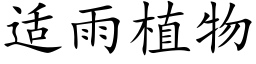 适雨植物 (楷體矢量字庫)