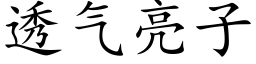 透气亮子 (楷体矢量字库)