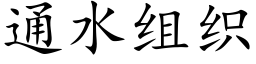 通水组织 (楷体矢量字库)