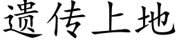 遗传上地 (楷体矢量字库)