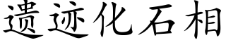 遺迹化石相 (楷體矢量字庫)