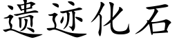 遗迹化石 (楷体矢量字库)