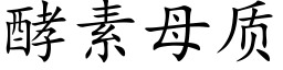 酵素母质 (楷体矢量字库)