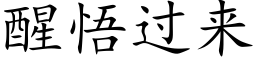 醒悟過來 (楷體矢量字庫)