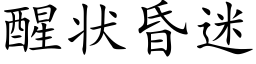 醒状昏迷 (楷体矢量字库)