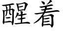 醒着 (楷体矢量字库)