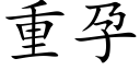 重孕 (楷体矢量字库)