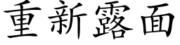 重新露面 (楷体矢量字库)