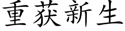 重获新生 (楷体矢量字库)