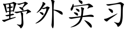 野外实习 (楷体矢量字库)