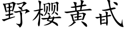 野樱黄甙 (楷体矢量字库)