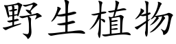 野生植物 (楷體矢量字庫)