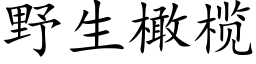 野生橄榄 (楷体矢量字库)