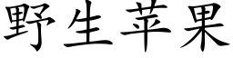 野生苹果 (楷体矢量字库)