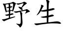 野生 (楷體矢量字庫)