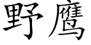 野鹰 (楷体矢量字库)