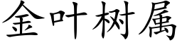 金葉樹屬 (楷體矢量字庫)