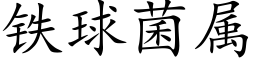 铁球菌属 (楷体矢量字库)