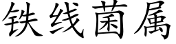 铁线菌属 (楷体矢量字库)