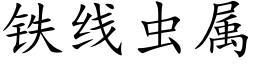 铁线虫属 (楷体矢量字库)