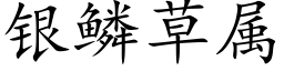 银鳞草属 (楷体矢量字库)