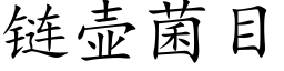 链壶菌目 (楷体矢量字库)