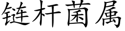 链杆菌属 (楷体矢量字库)