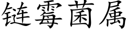 链霉菌属 (楷体矢量字库)