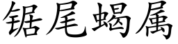 锯尾蝎属 (楷体矢量字库)