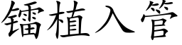 镭植入管 (楷体矢量字库)