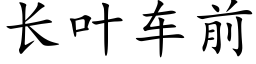 长叶车前 (楷体矢量字库)