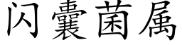 闪囊菌属 (楷体矢量字库)