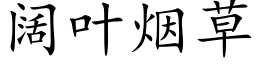 阔叶烟草 (楷体矢量字库)