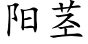 阳茎 (楷体矢量字库)