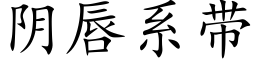 阴唇系带 (楷体矢量字库)