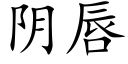 阴唇 (楷体矢量字库)