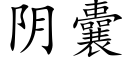 阴囊 (楷体矢量字库)