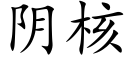 阴核 (楷体矢量字库)