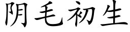 阴毛初生 (楷体矢量字库)