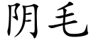 阴毛 (楷体矢量字库)