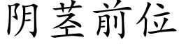 阴茎前位 (楷体矢量字库)