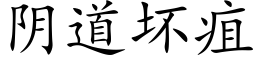 阴道坏疽 (楷体矢量字库)