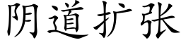 阴道扩张 (楷体矢量字库)