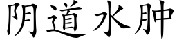 阴道水肿 (楷体矢量字库)