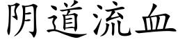 阴道流血 (楷体矢量字库)