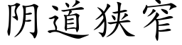 阴道狭窄 (楷体矢量字库)