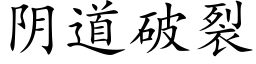 阴道破裂 (楷体矢量字库)