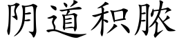 阴道积脓 (楷体矢量字库)