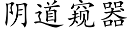 阴道窥器 (楷体矢量字库)