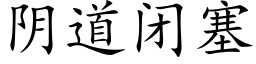 阴道闭塞 (楷体矢量字库)